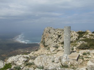 IMG_4787 (Medium)